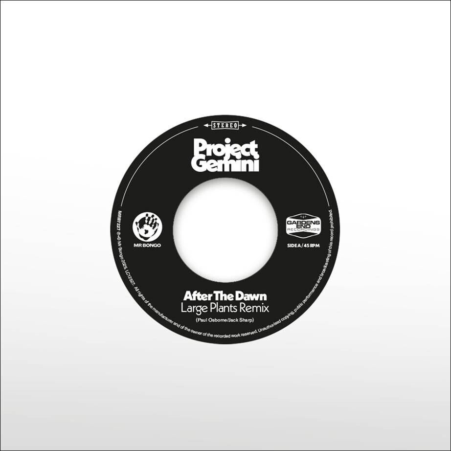 PROJECT GEMINI - AFTER THE DAWN (LARGE PLANTS REMIX) LIMITED EDITION 7